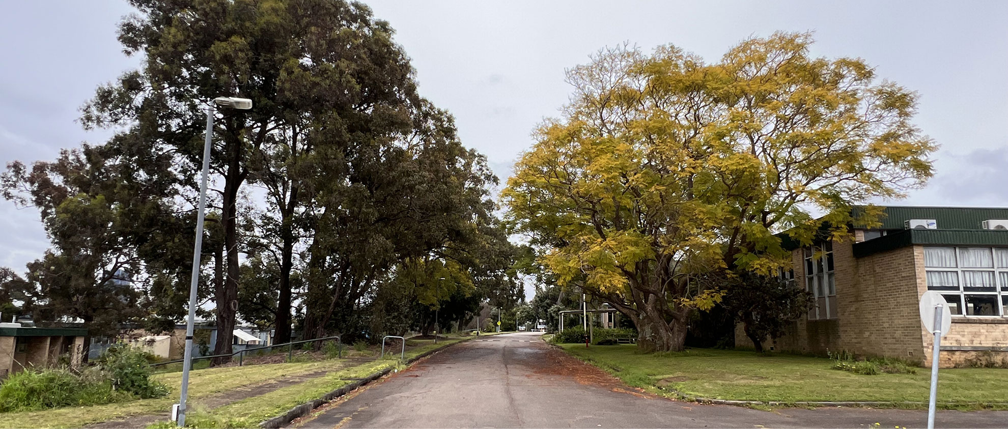 Green Infrastructure