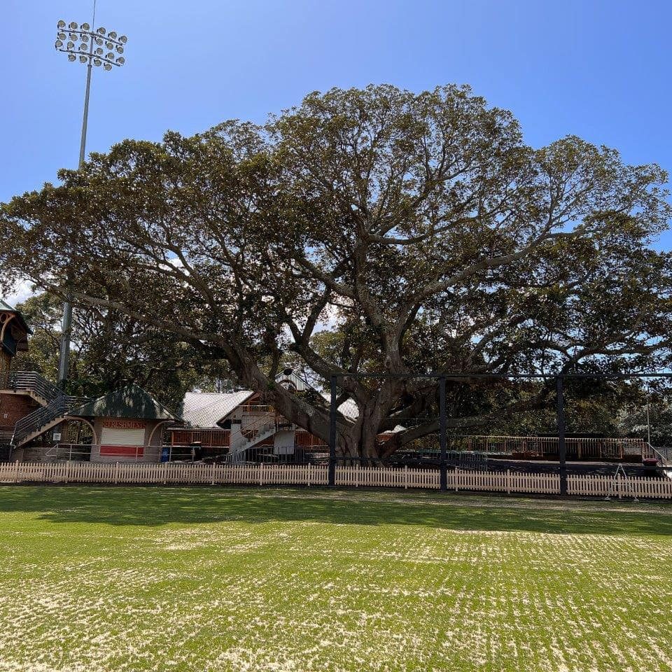 North-sydney-oval