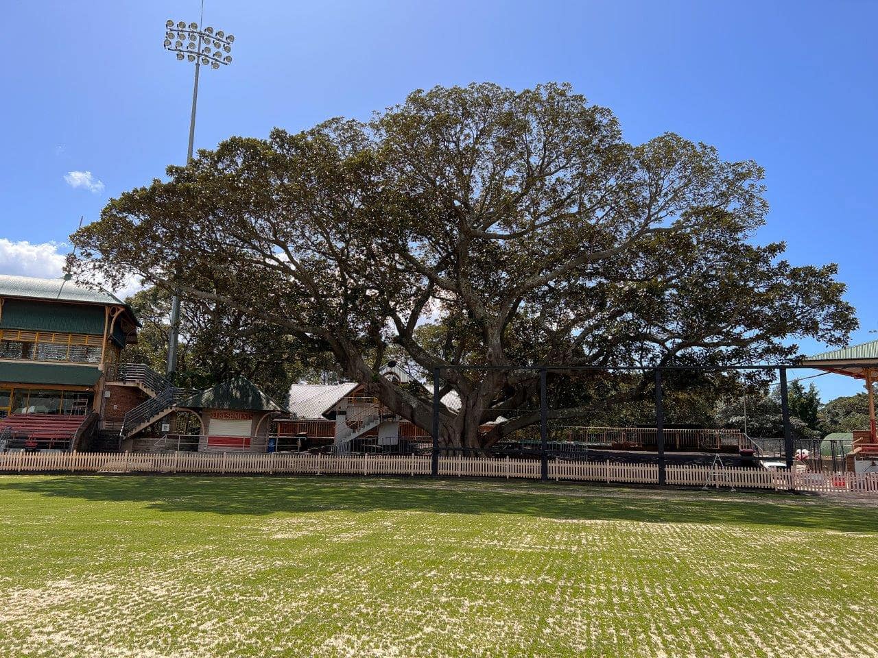 North-sydney-oval