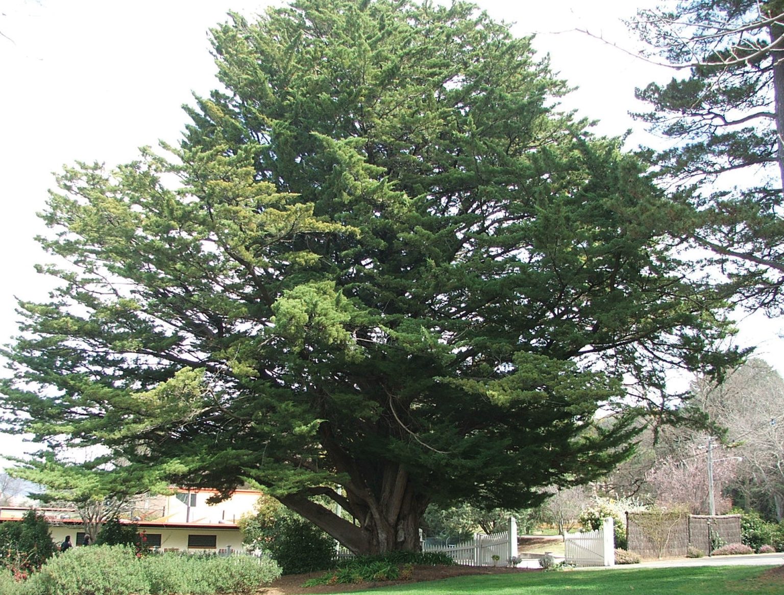 Duntroon – Royal Military College