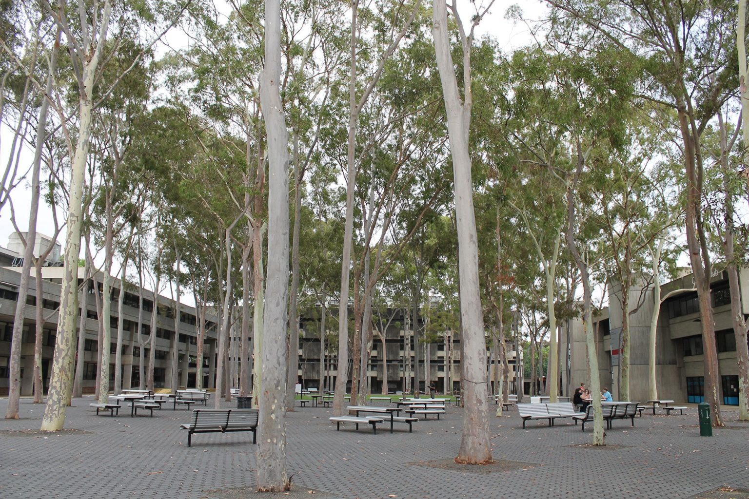 Central Courtyard – Macquarie University